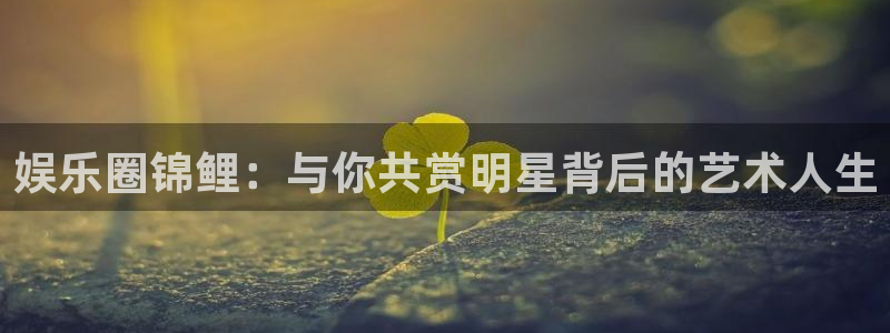 杏鑫娱乐：娱乐圈锦鲤：与你共赏明星背后的艺术人生