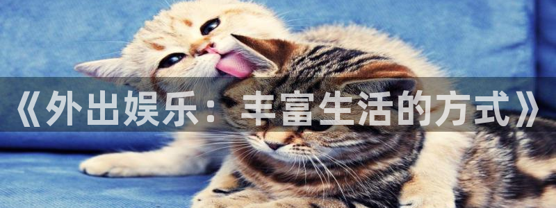 杏鑫娱乐：《外出娱乐：丰富生活的方式》