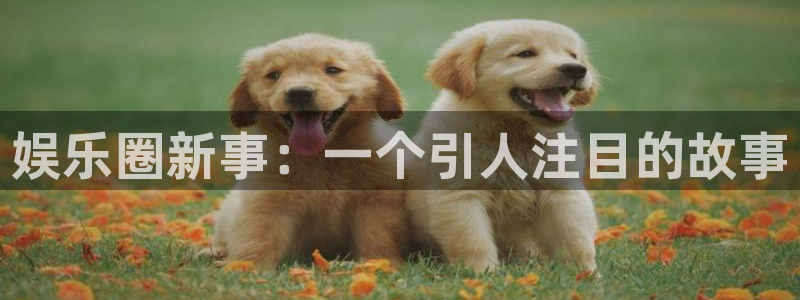 杏鑫娱乐：娱乐圈新事：一个引人注目的故事