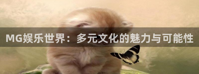 杏鑫娱乐：MG娱乐世界：多元文化的魅力与可能性