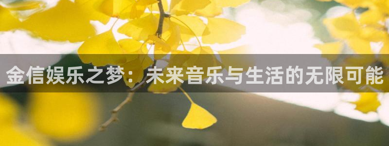 杏鑫娱乐：金信娱乐之梦：未来音乐与生活的无限可能