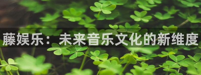 杏鑫娱乐：藤娱乐：未来音乐文化的新维度