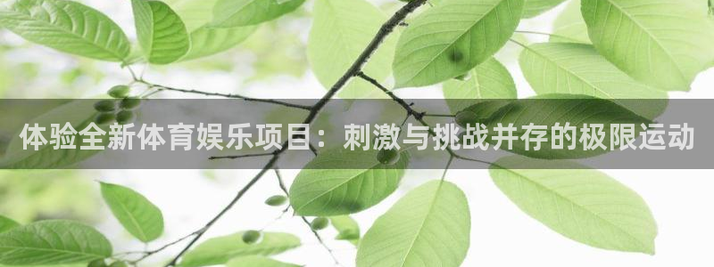 杏鑫娱乐：体验全新体育娱乐项目：刺激与挑战并存的极限运动