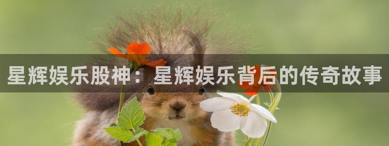 杏鑫娱乐：星辉娱乐股神：星辉娱乐背后的传奇故事