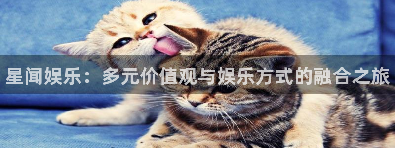 杏鑫娱乐：星闻娱乐：多元价值观与娱乐方式的融合之旅