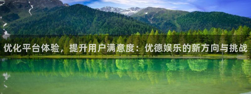 杏鑫娱乐：优化平台体验，提升用户满意度：优德娱乐的新方向与挑战